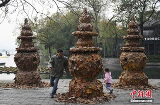 落葉藝術(shù)品成為杭州西湖獨特風景