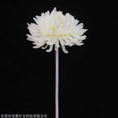 LED景觀燈